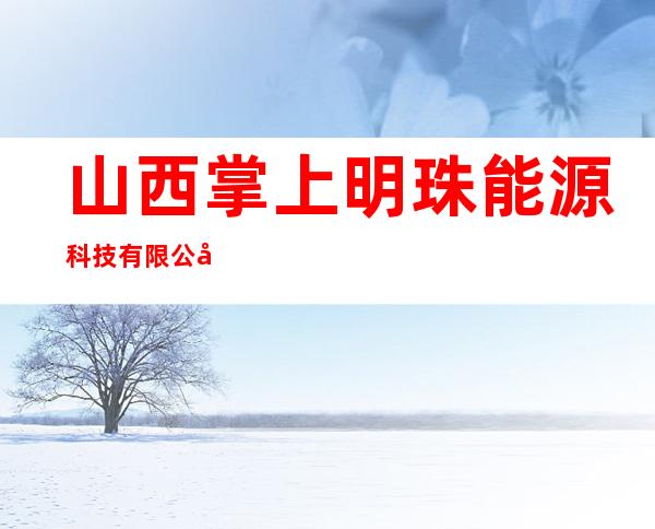 山西掌上明珠能源科技有限公司